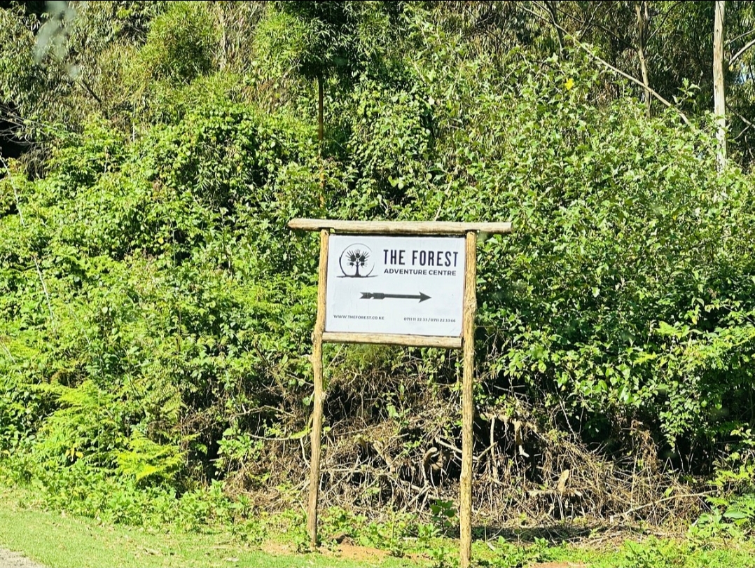 The Forest Adventure Center and Restaurant — image 3