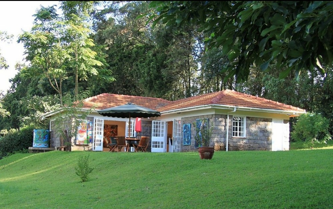 Red Hill Art Gallery — image 4