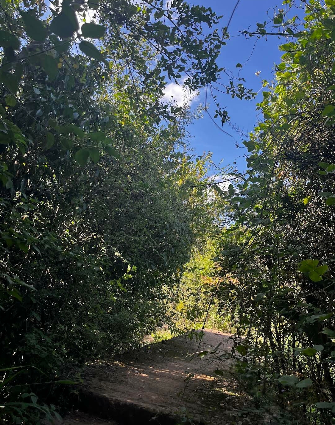 Oloolua Nature Trail — image 1