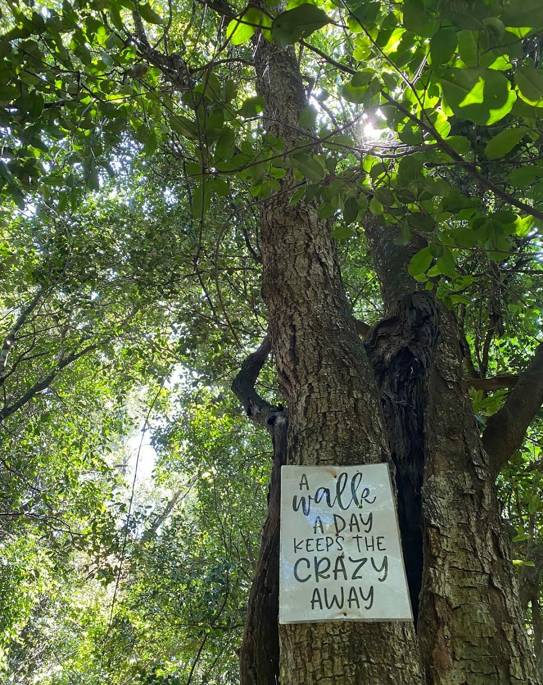 Oloolua Nature Trail — image 2