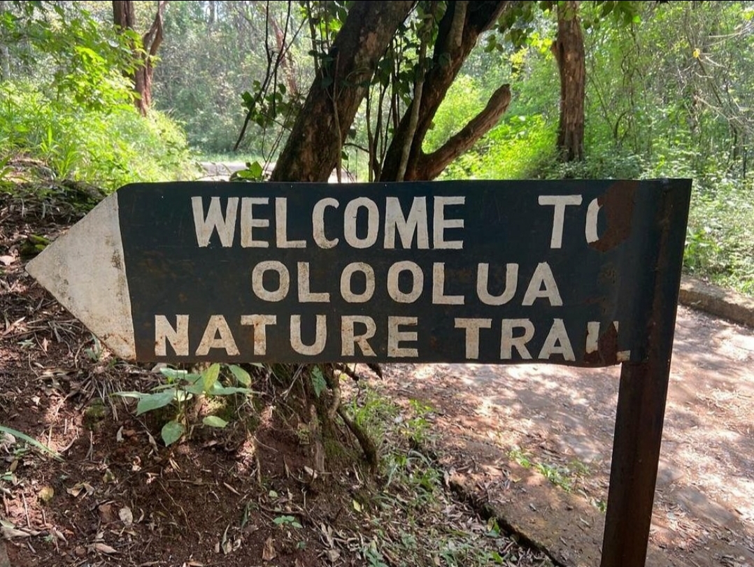 Oloolua Nature Trail — image 5