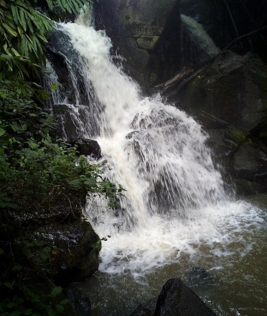 Oloolua Nature Trail — image 6