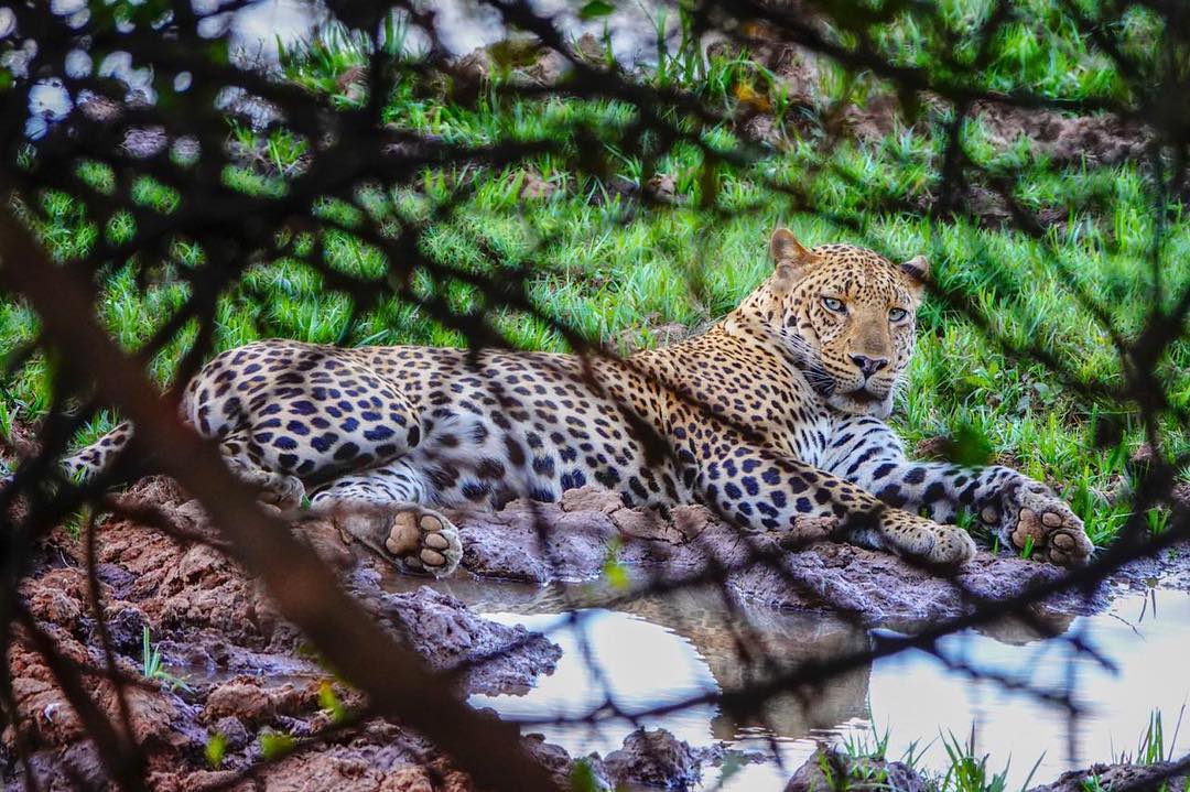 Nairobi National Park — image 3