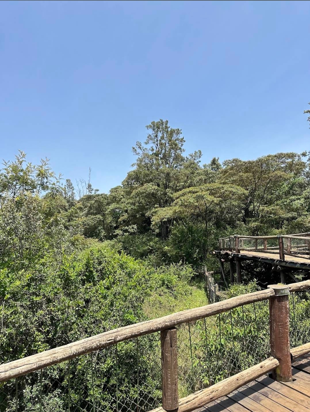Nairobi Safari Walk — image 1