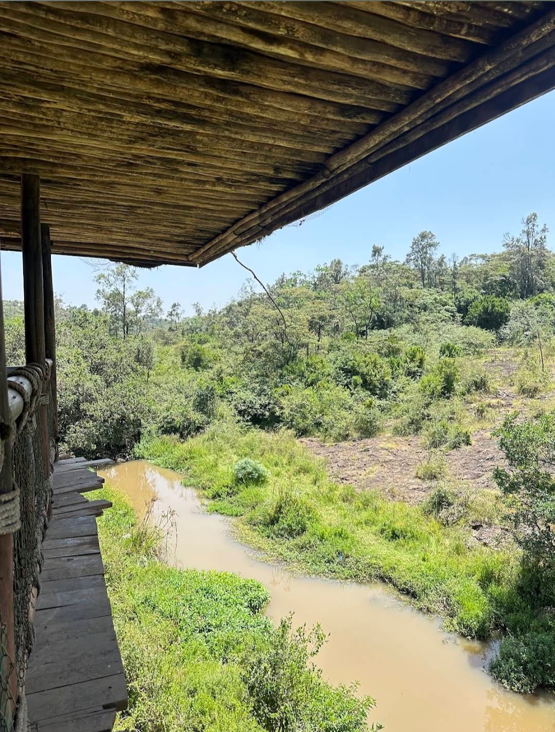 Nairobi Safari Walk — image 2