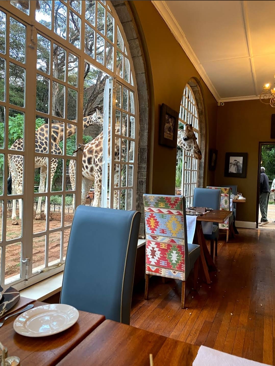 Giraffe Centre — image 2