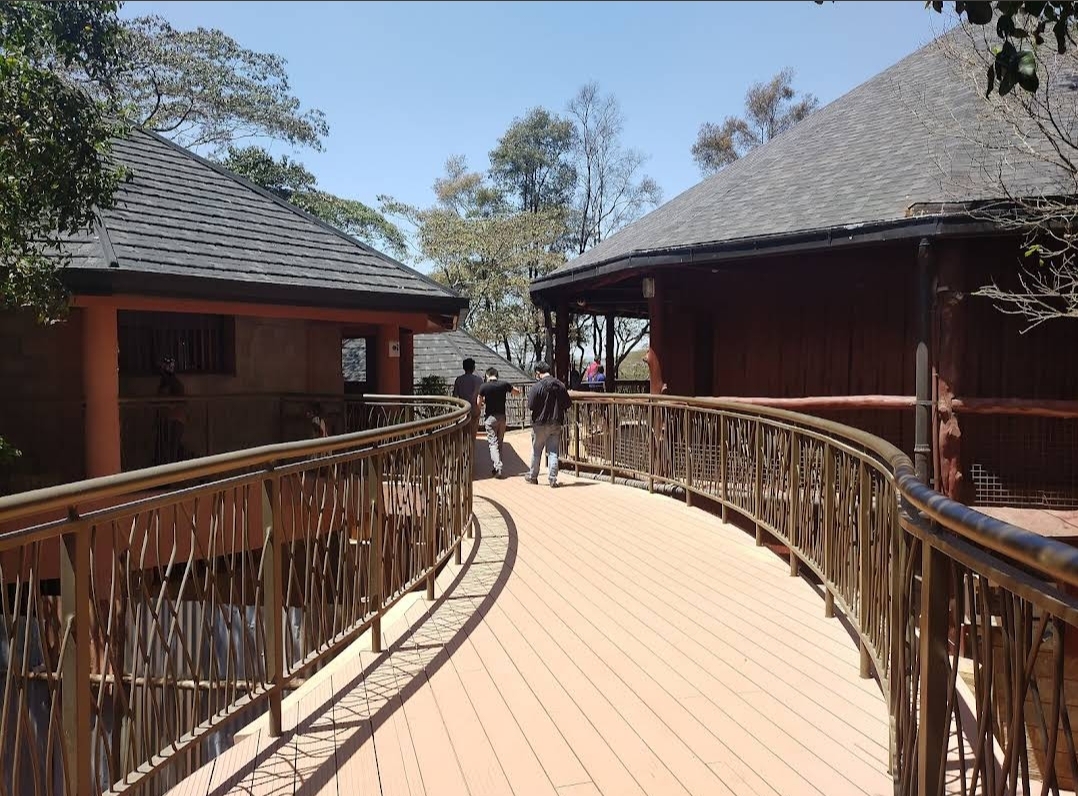 Giraffe Centre — image 6