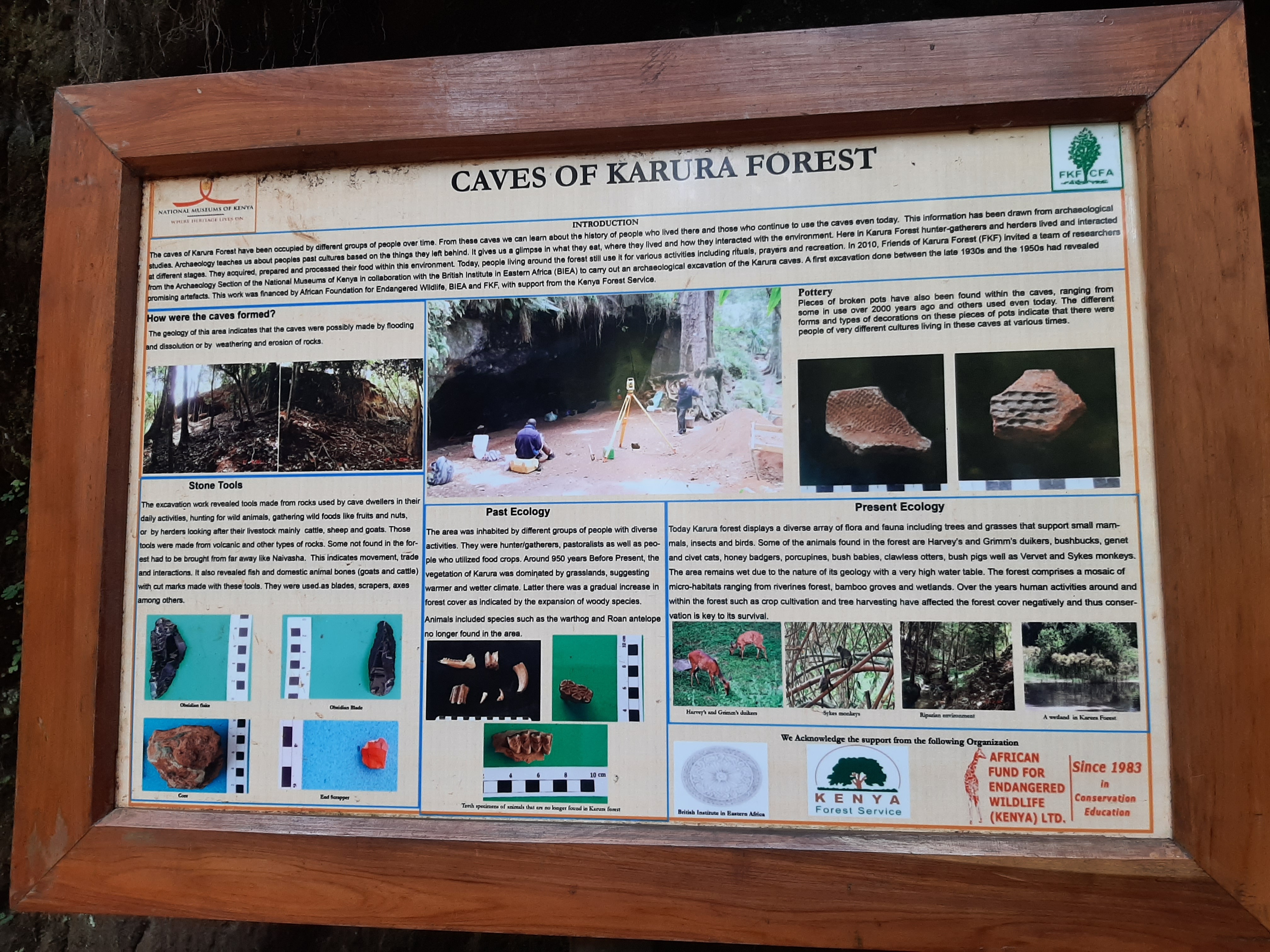 Karura Forest — image 3