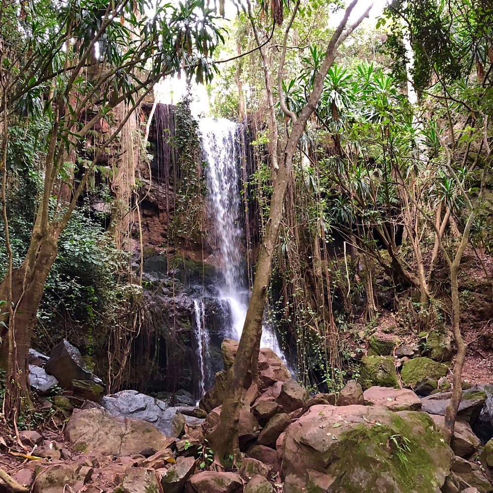 Paradise Lost — image 2