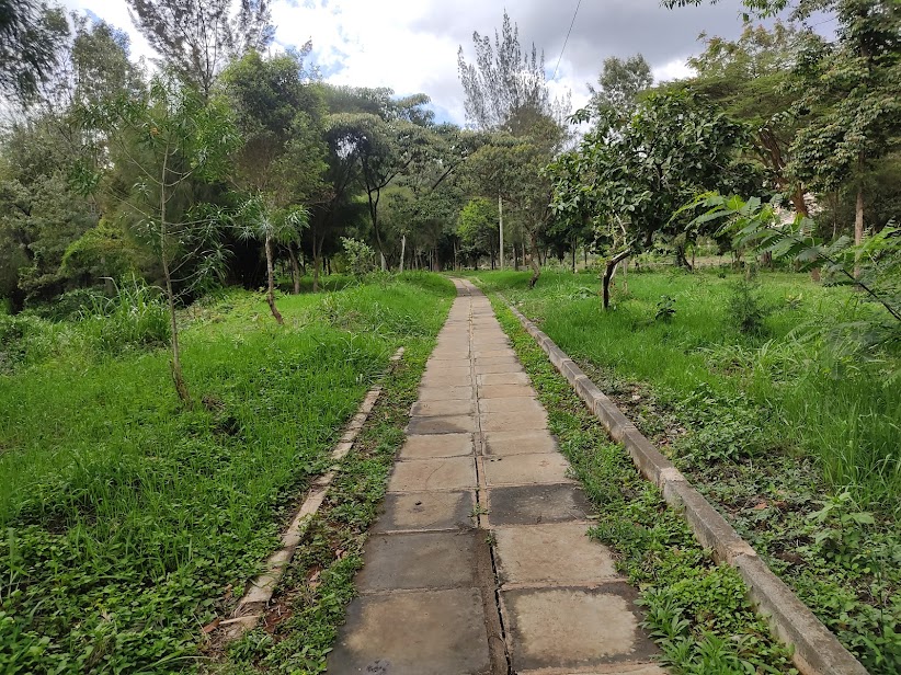 John Michuki Memorial Park — image 2
