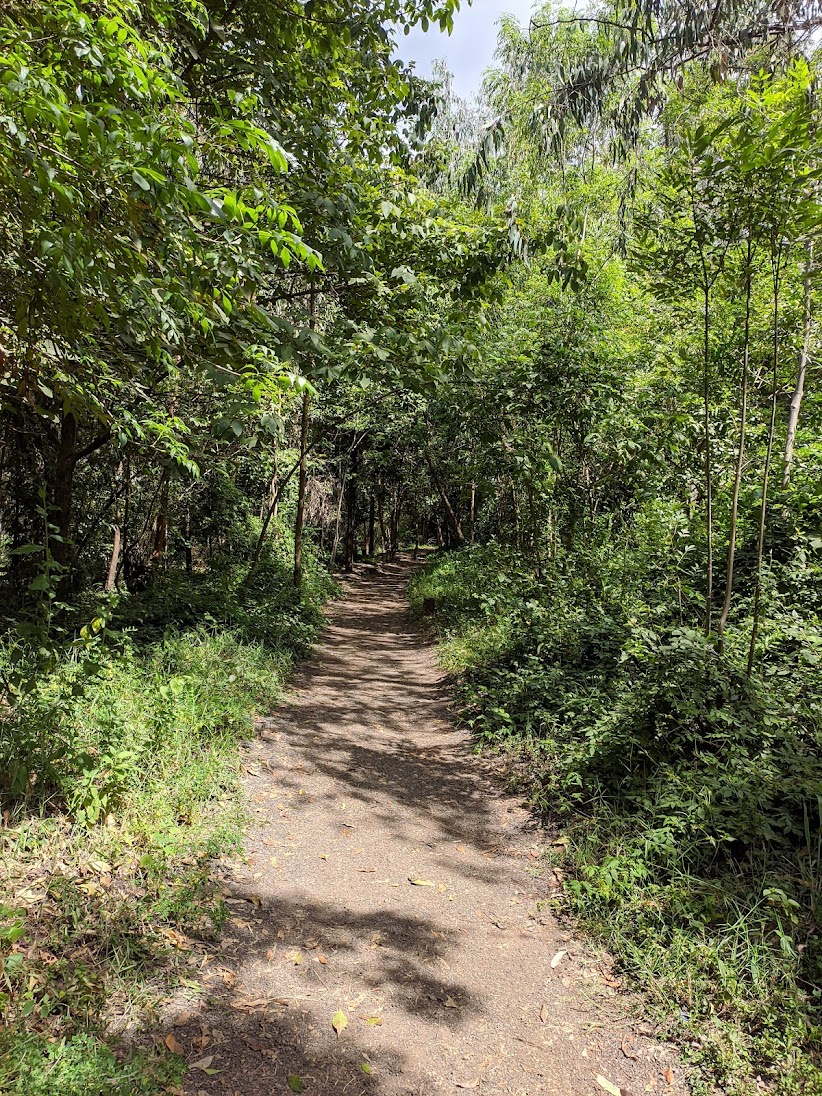 John Michuki Memorial Park — image 4