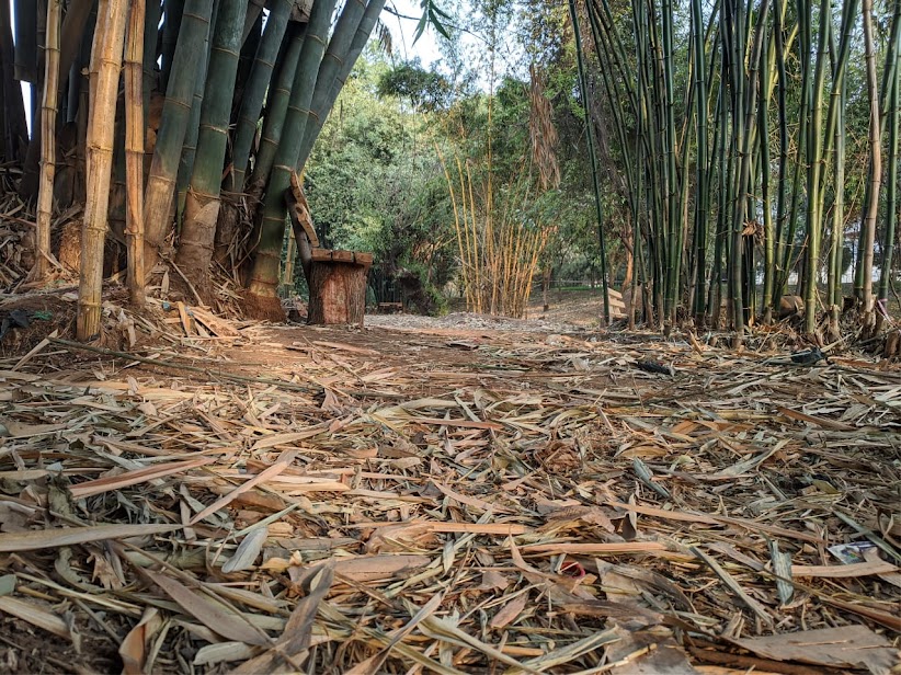 John Michuki Memorial Park — image 5