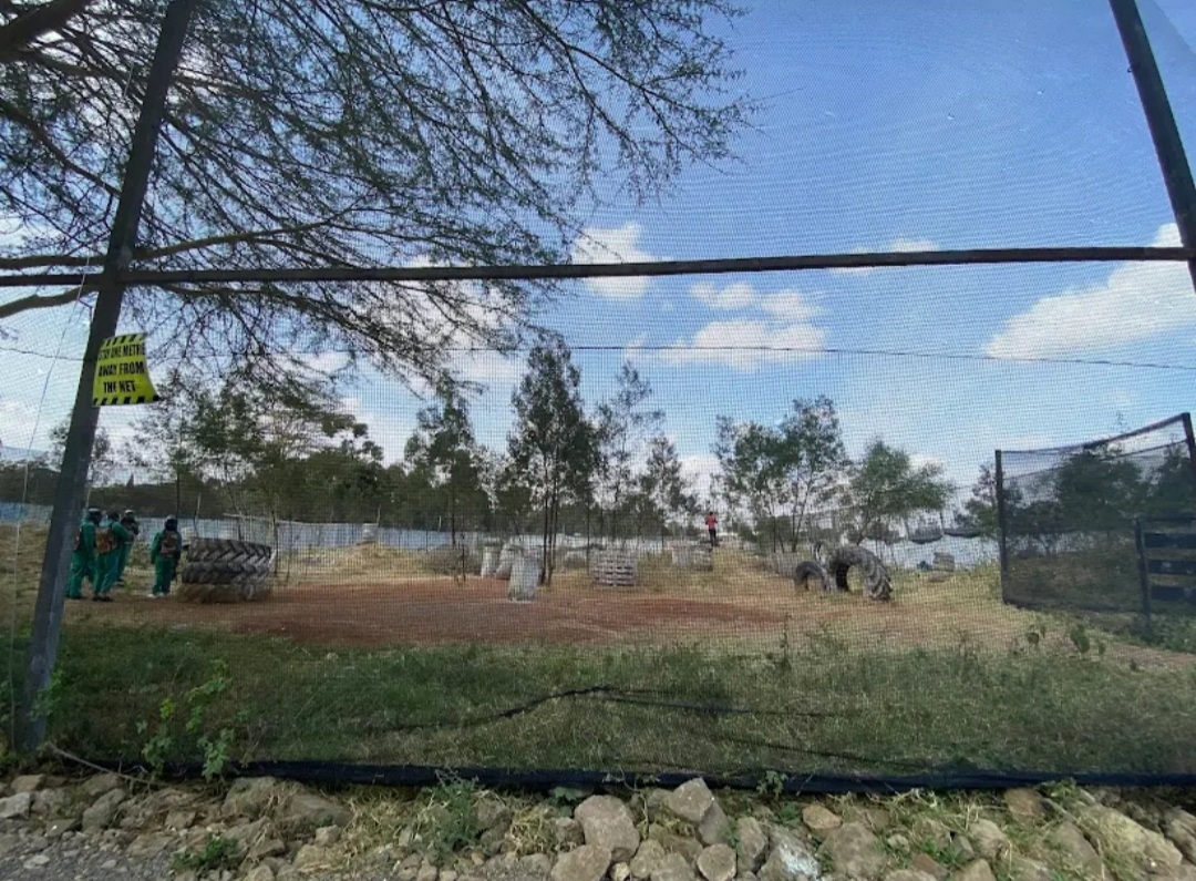 Paintball Fury — image 1