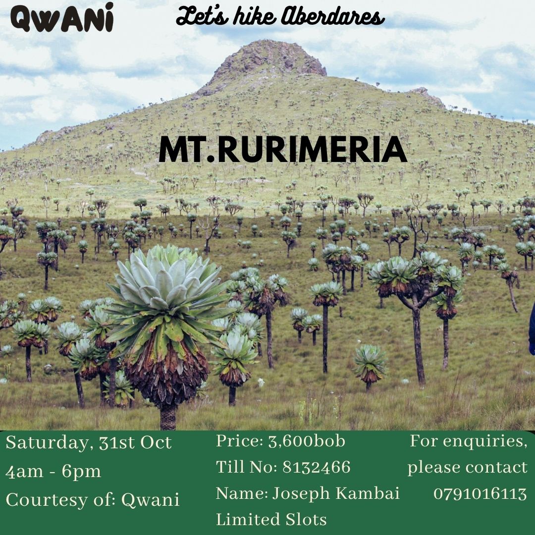 Qwani: Mt. Rurimeria Aberdare Hike