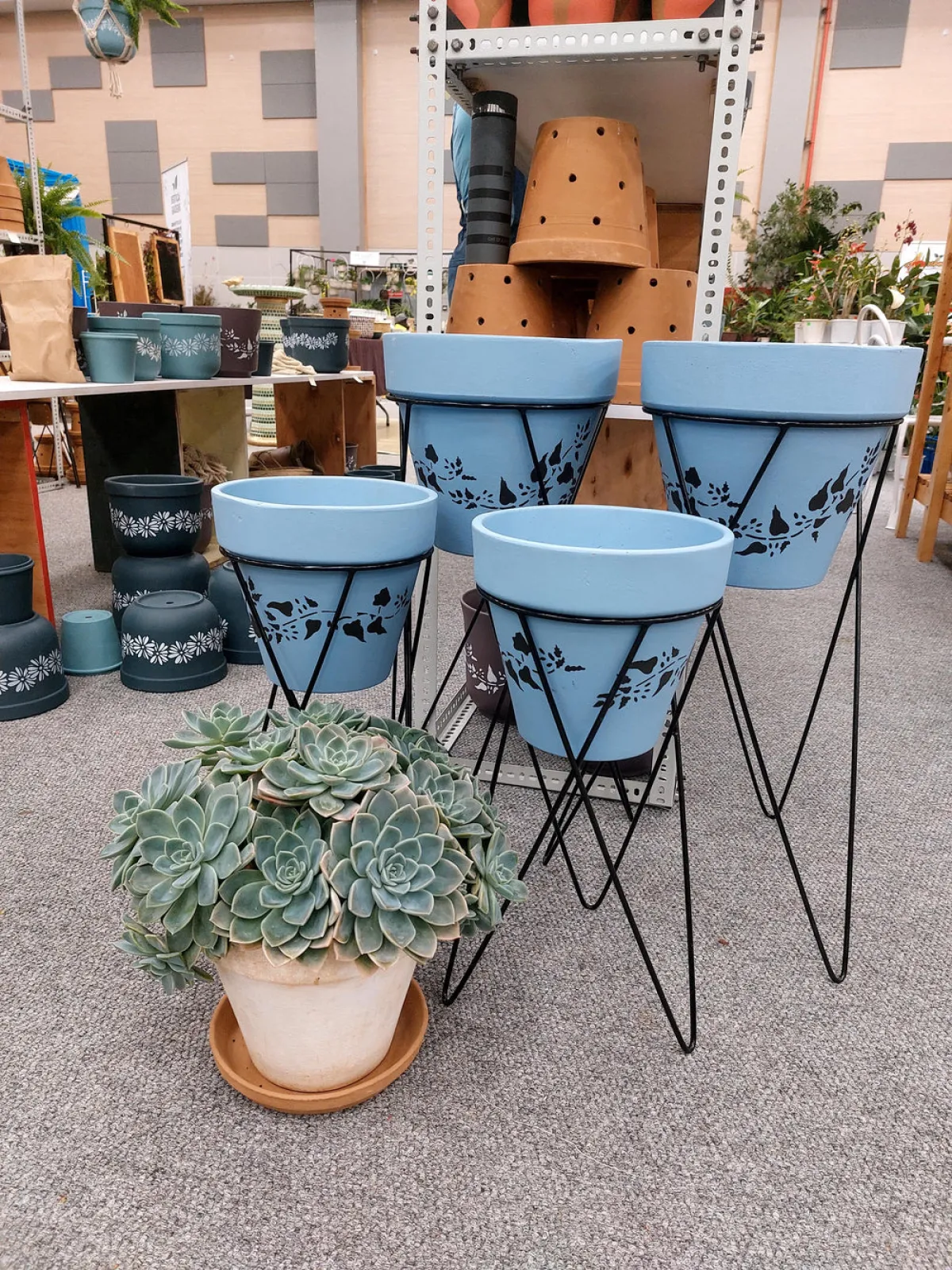 Terracotta Clay Pots