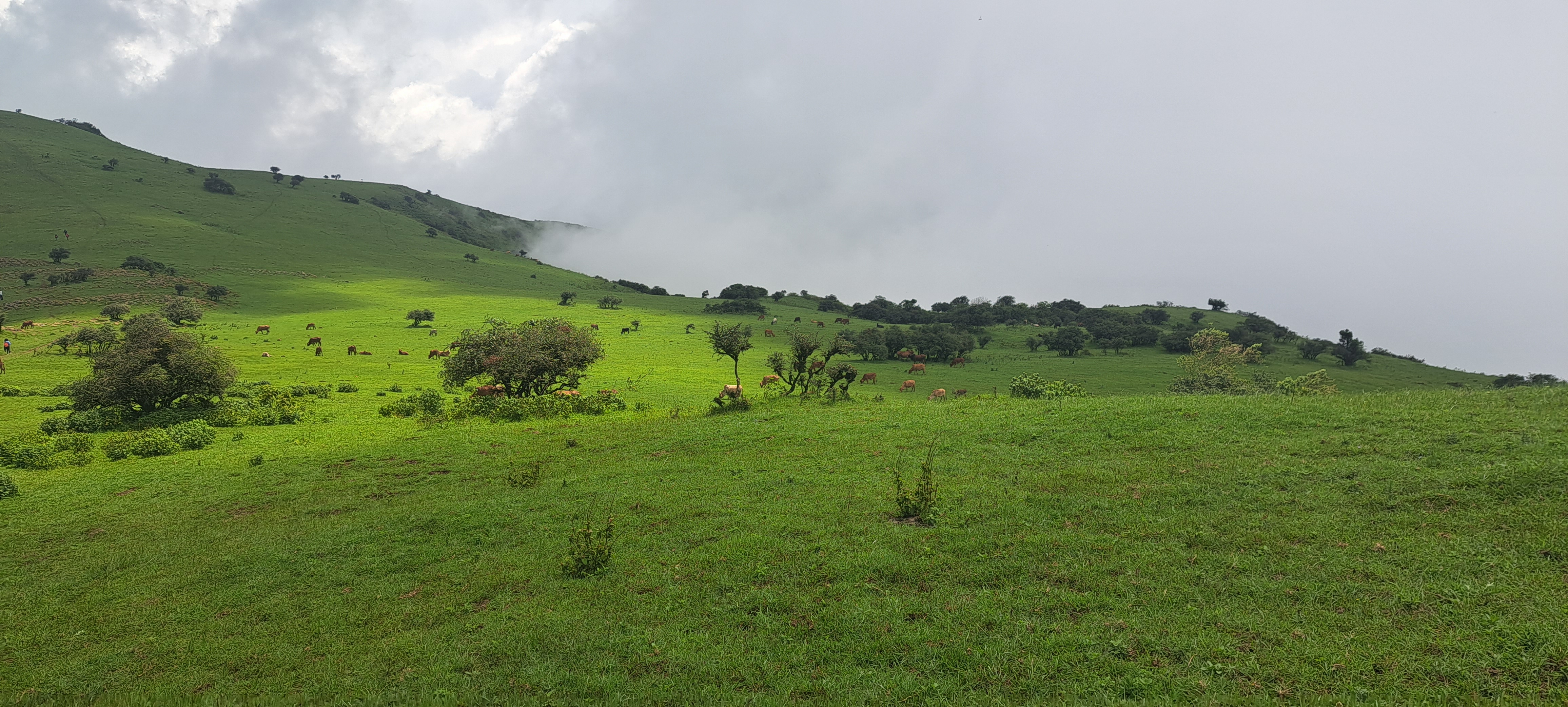 Ngong Hills — image 1