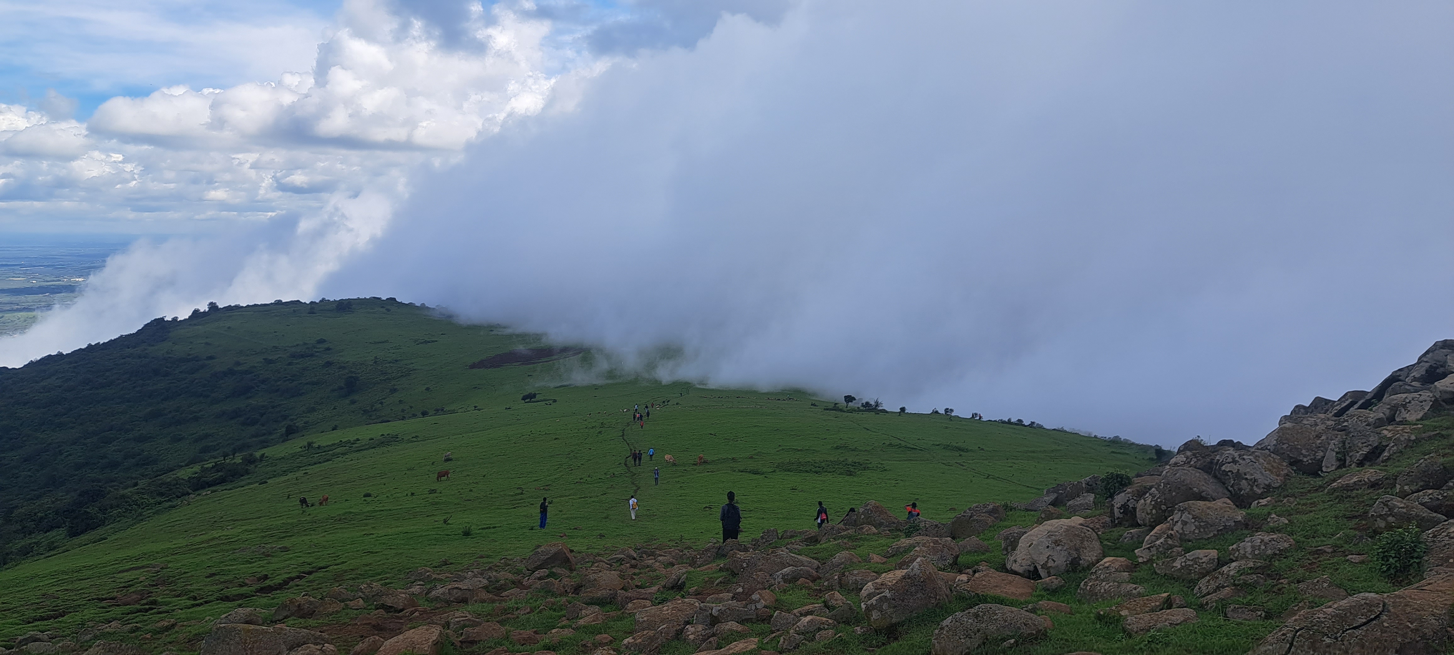 Ngong Hills — image 2
