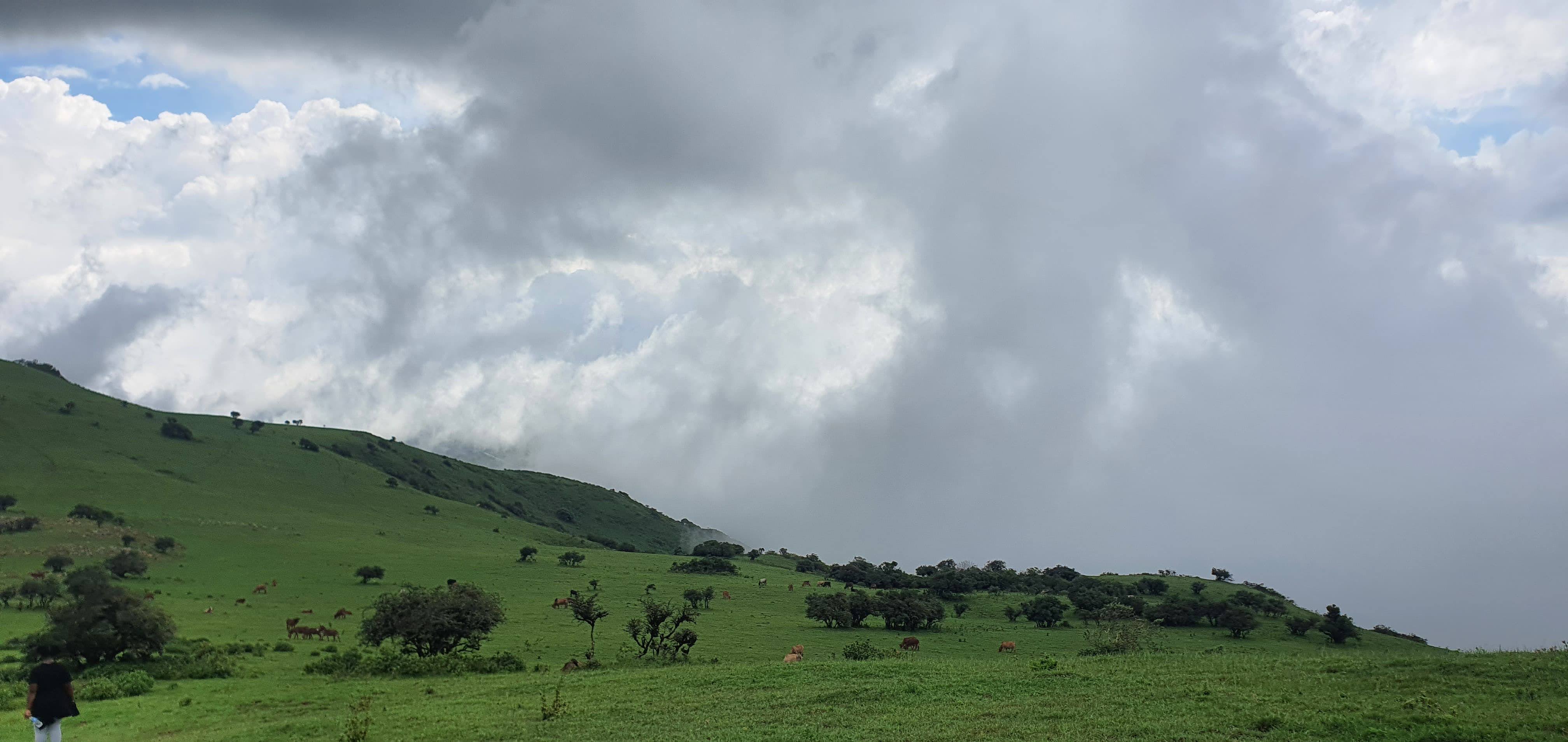 Ngong Hills — image 4